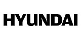 Hyundai_motor_mechanic_ringwood